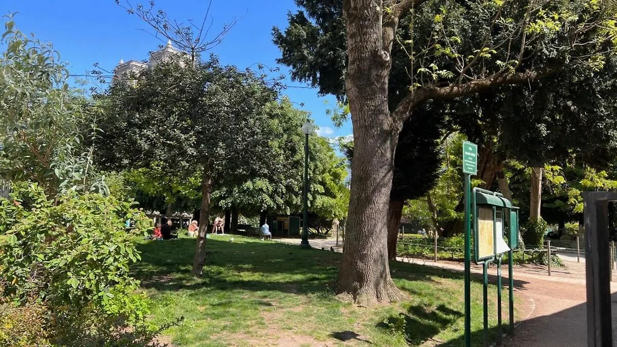 דירה פריז Serenity, Meditation At Notre Dame צרפת