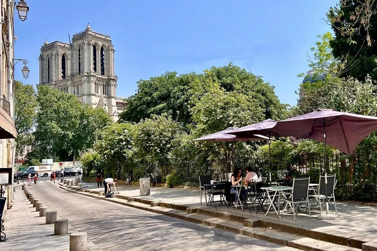Serenity, Meditation At Notre Dame Paris France
