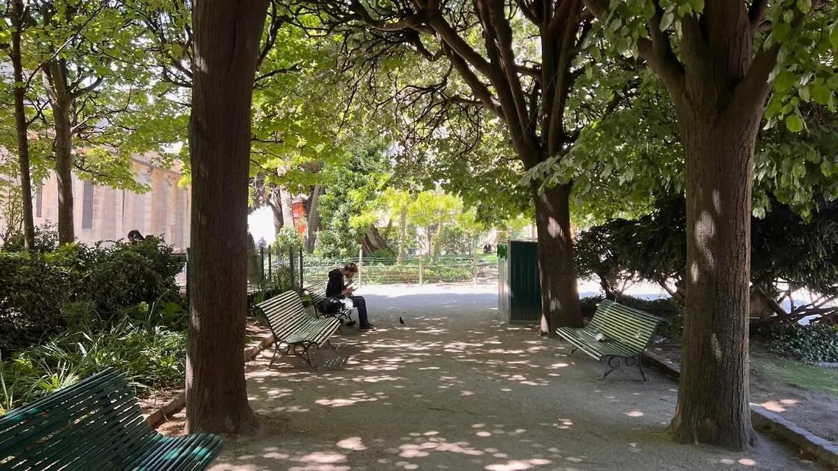 Serenity, Meditation At Notre Dame Paris